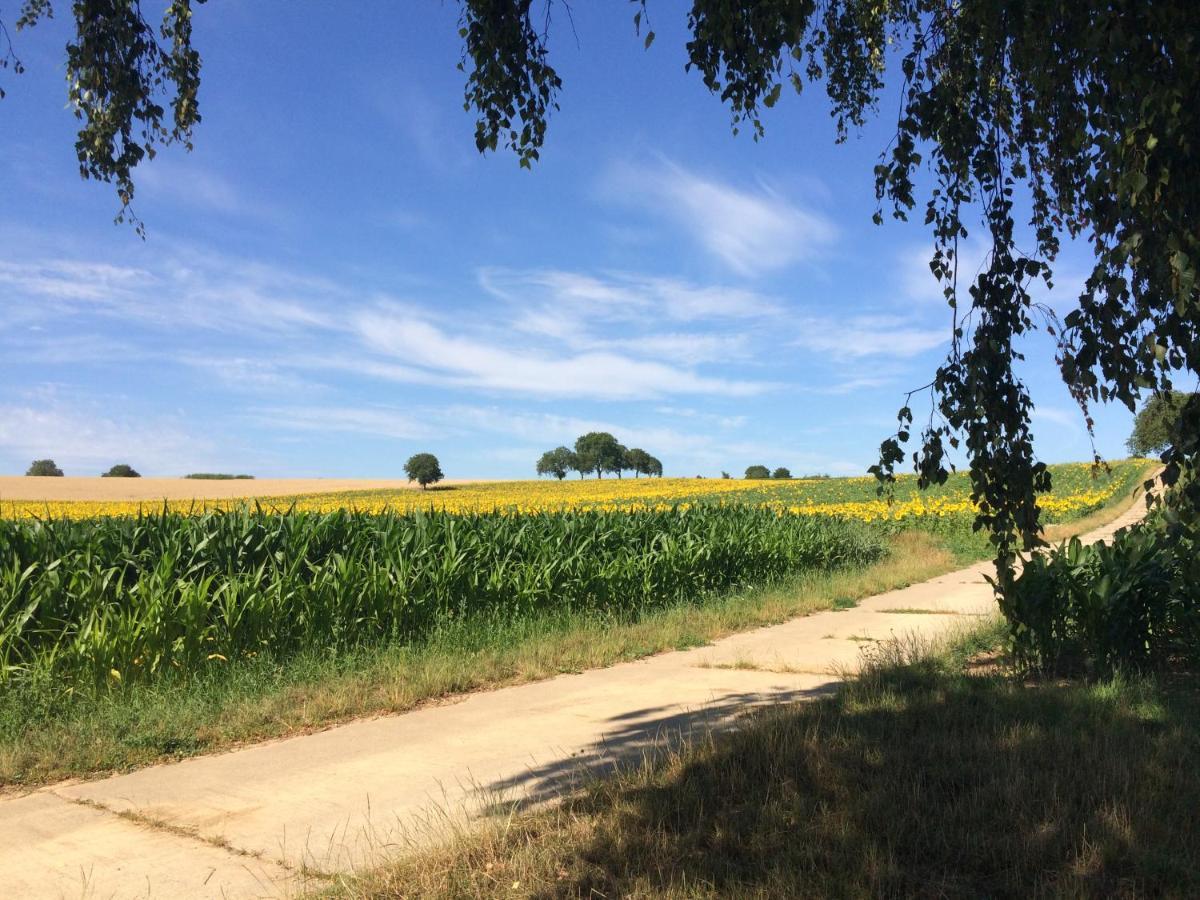 Auszeit - Historisches In Der Suedpfalz *